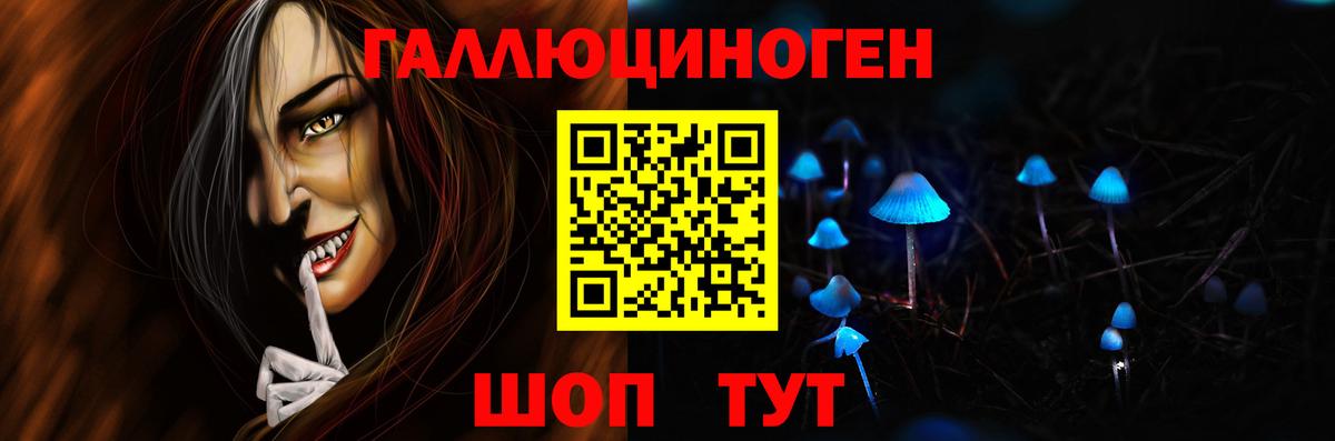 Галлюциногенные грибы GOLDEN TEACHER  Вход с VPN  Черняховск 